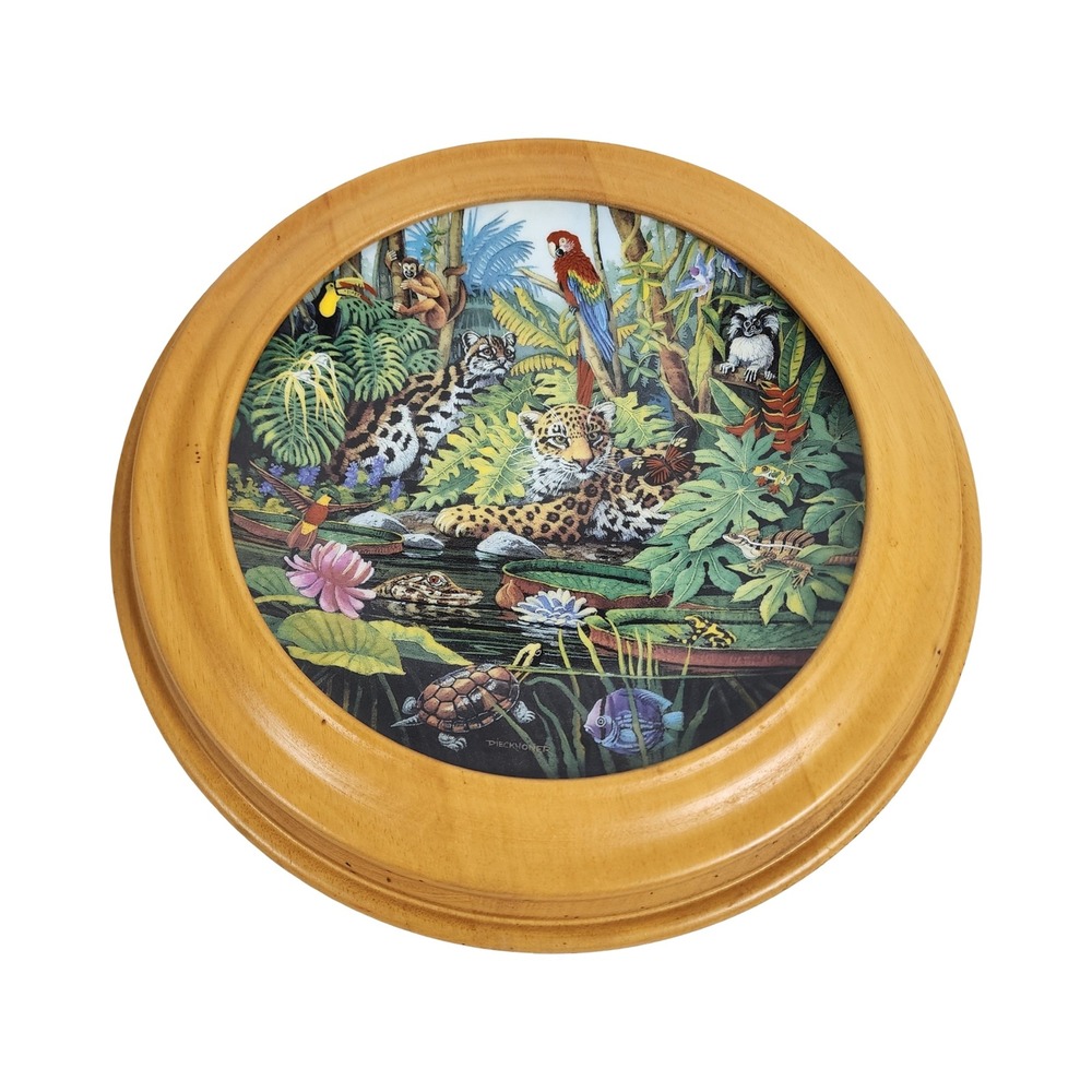Bradford Exchange The Rainforest Gene Dieckhoner Collector‎ Plate Framed 1993